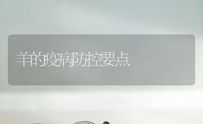 羊的疫病防控要点 | 家畜养殖