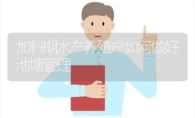 加料期水产养殖户如何做好池塘管理 | 动物养殖百科