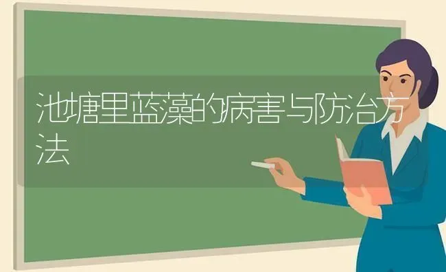 池塘里蓝藻的病害与防治方法 | 动物养殖百科