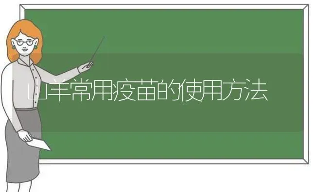 山羊常用疫苗的使用方法 | 家畜养殖