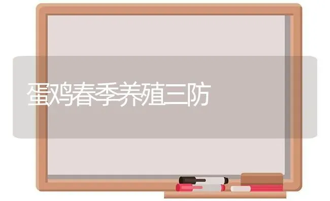 蛋鸡春季养殖三防 | 家禽养殖