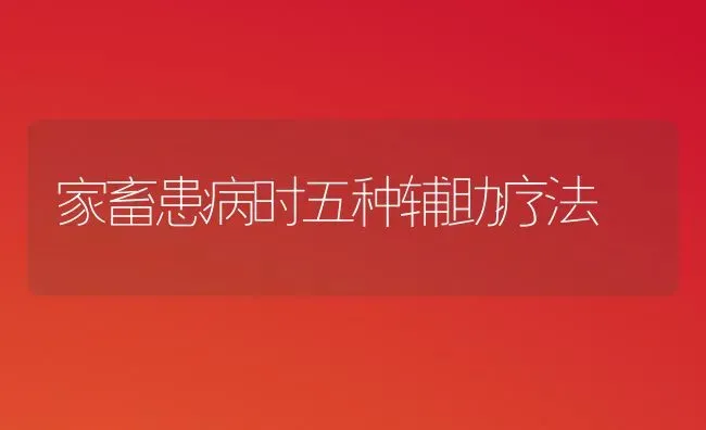 家畜患病时五种辅助疗法 | 家畜养殖