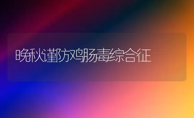 晚秋谨防鸡肠毒综合征 | 家禽养殖