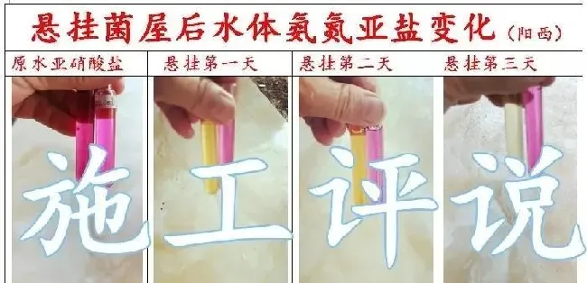 养殖水体常见有那些生物化学反应之沉淀反应和水质的关系