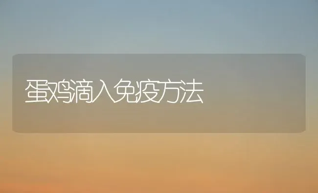 蛋鸡滴入免疫方法 | 家禽养殖