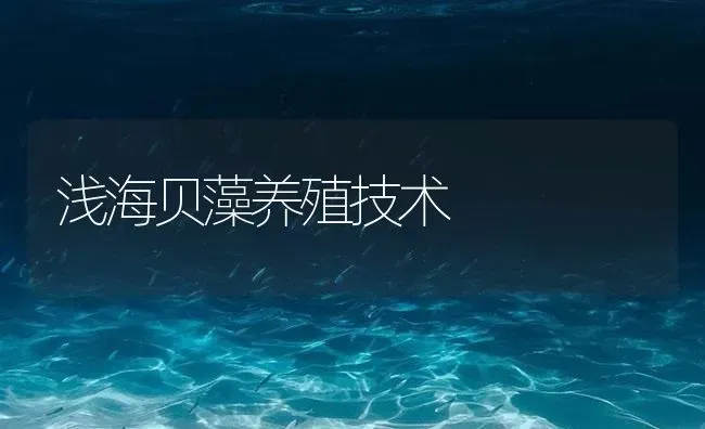 浅海贝藻养殖技术 | 海水养殖