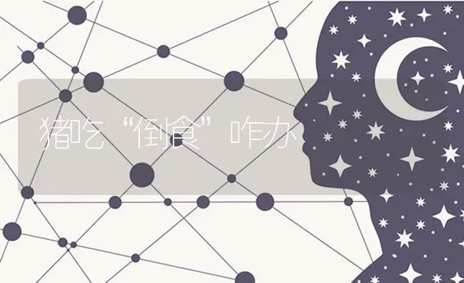 猪吃“倒食”咋办 | 家畜养殖