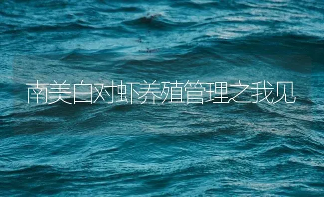 南美白对虾养殖管理之我见 | 海水养殖