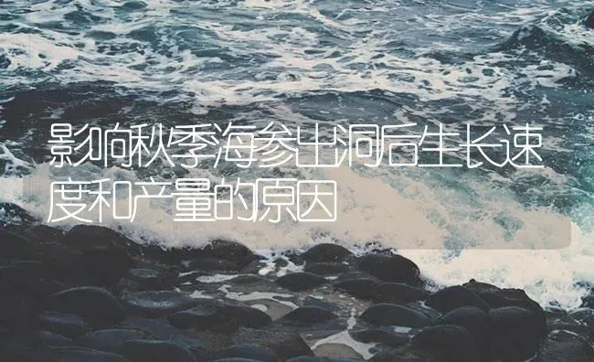 影响秋季海参出洞后生长速度和产量的原因 | 海水养殖