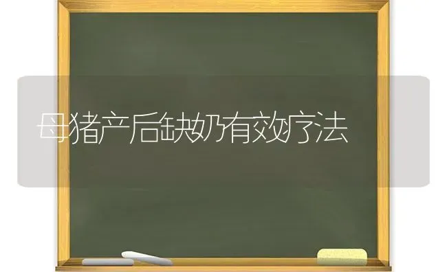 母猪产后缺奶有效疗法 | 家畜养殖