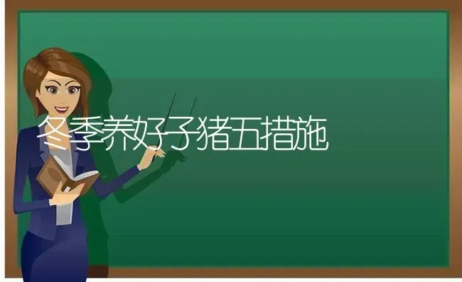 冬季养好子猪五措施 | 家畜养殖