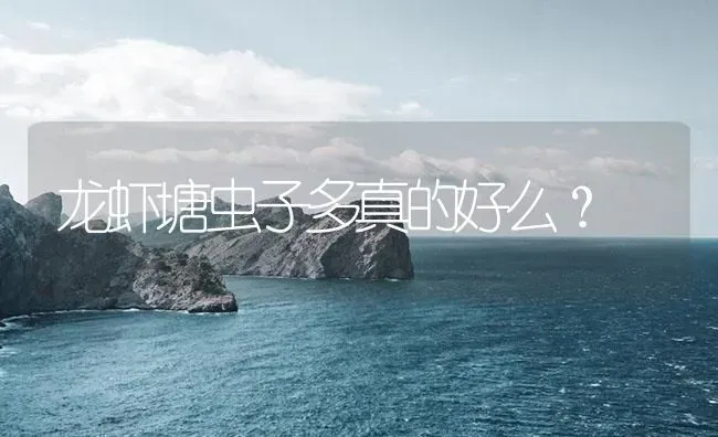 龙虾塘虫子多真的好么？ | 海水养殖