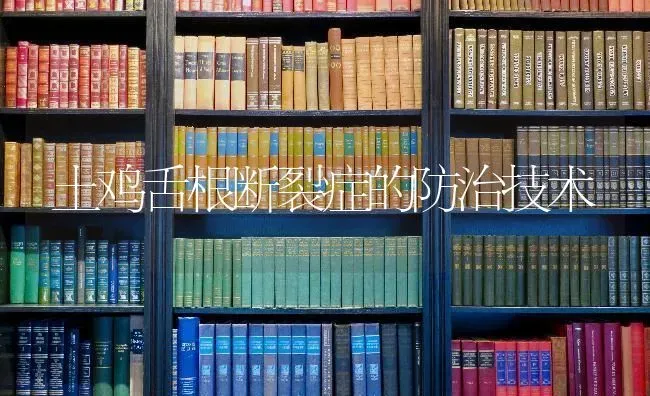土鸡舌根断裂症的防治技术 | 家禽养殖