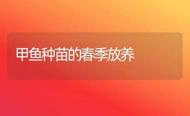 甲鱼种苗的春季放养 | 淡水养殖