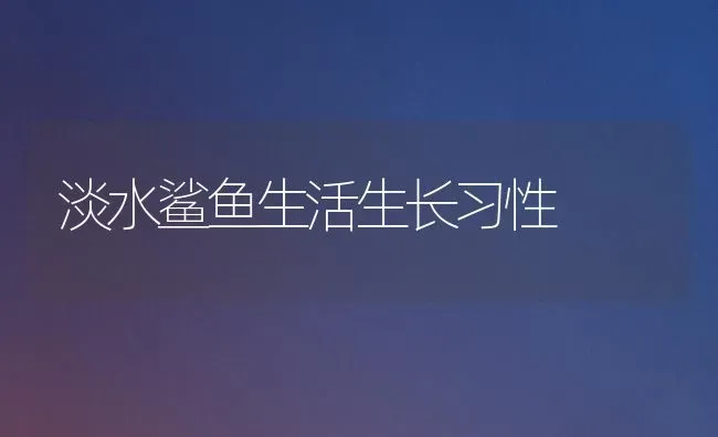 淡水鲨鱼生活生长习性 | 淡水养殖