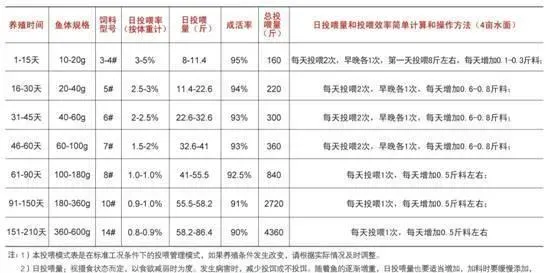 石斑鱼养殖户如何做到8两料长1斤鱼？