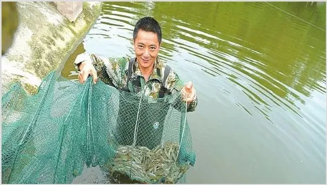养殖南美白对虾的注意事项及路子 | 动物养殖资料