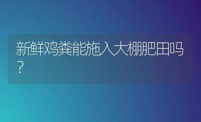 新鲜鸡粪能施入大棚肥田吗？ | 家禽养殖