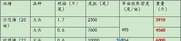 鲫鱼和花鲢混养塘分台投喂 每亩多挣两千五百块