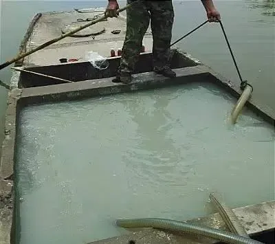 江苏泰州地区一例鲫鱼锚头鳋病的治疗方法