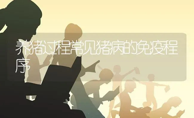 养猪过程常见猪病的免疫程序 | 家畜养殖