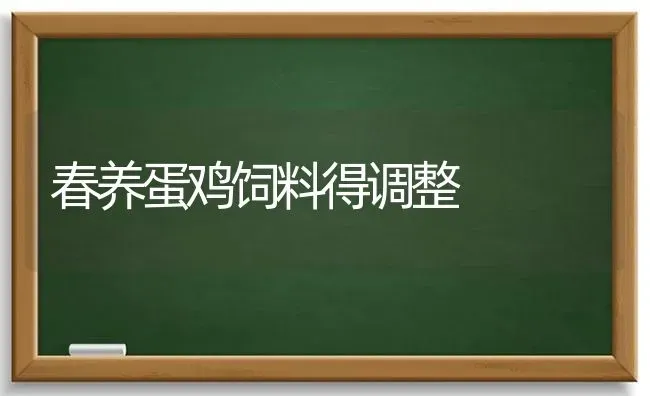春养蛋鸡饲料得调整 | 家禽养殖