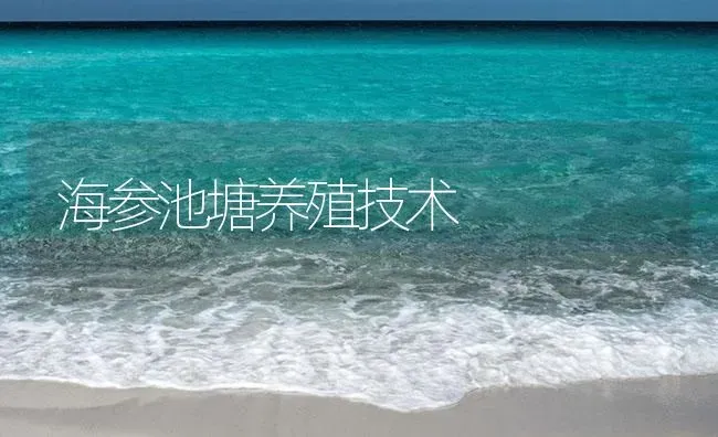 海参池塘养殖技术 | 海水养殖