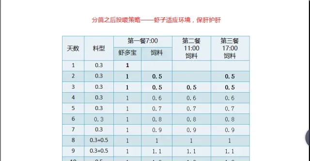 江苏南通如东小棚锅炉苗分苗期管理技术