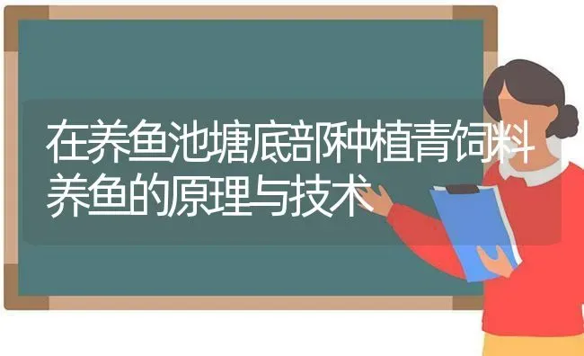 在养鱼池塘底部种植青饲料养鱼的原理与技术 | 动物养殖百科