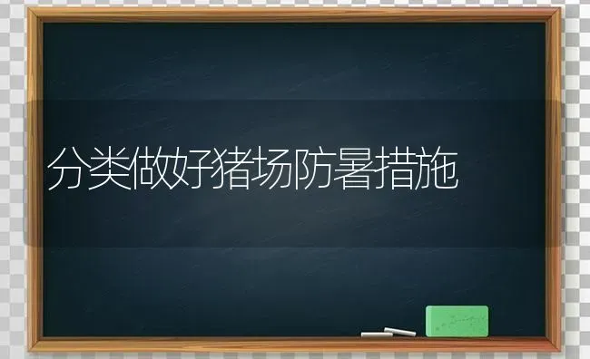 分类做好猪场防暑措施 | 家畜养殖