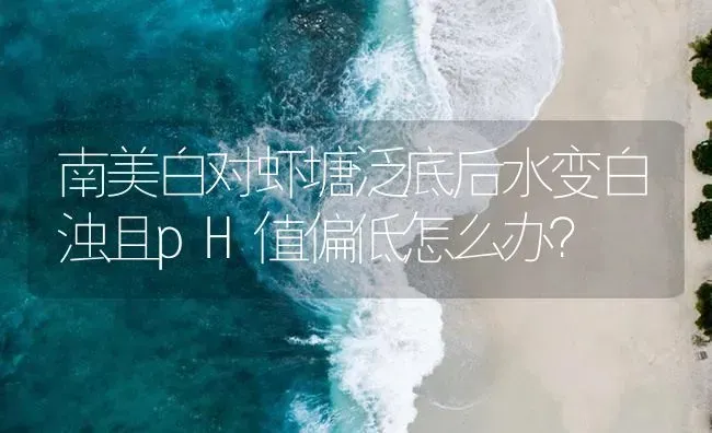 南美白对虾塘泛底后水变白浊且pH值偏低怎么办？ | 海水养殖