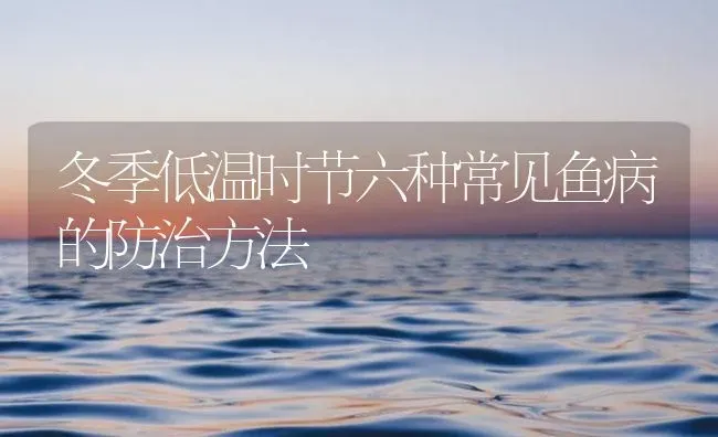 冬季低温时节六种常见鱼病的防治方法 | 养殖病虫害防治