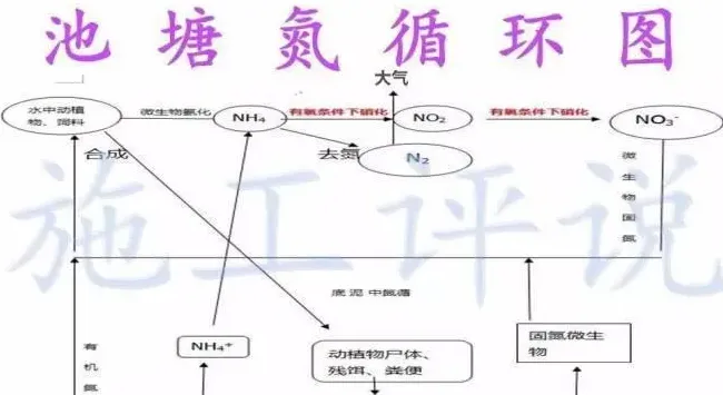 水产养殖户如何判断池塘底质质量的好坏？如何科学改底？