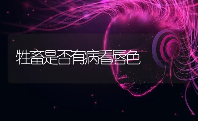 牲畜是否有病看唇色 | 家畜养殖