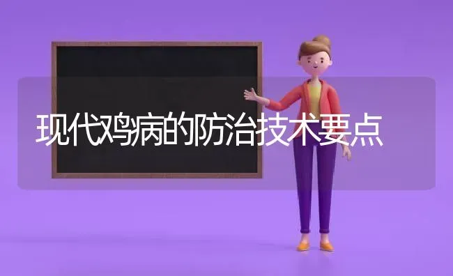 现代鸡病的防治技术要点 | 家禽养殖