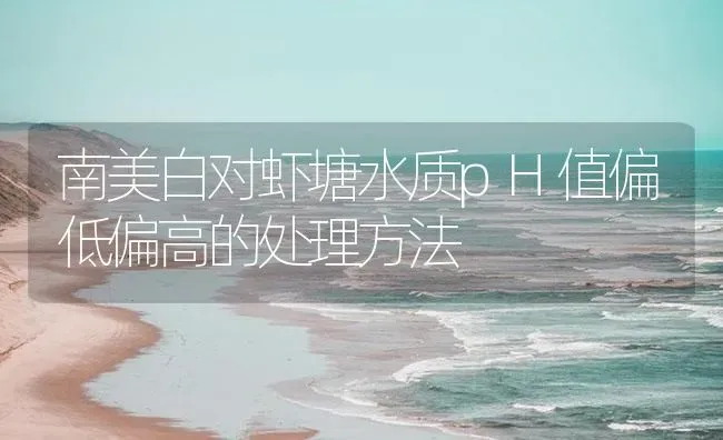 南美白对虾塘水质pH值偏低偏高的处理方法 | 海水养殖