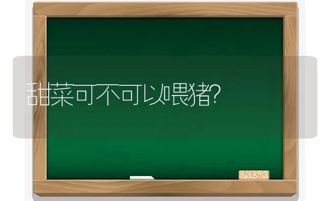 甜菜可不可以喂猪？ | 家畜养殖