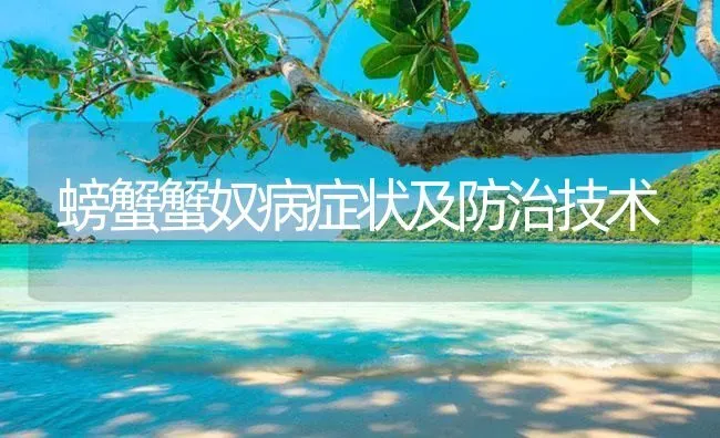 螃蟹蟹奴病症状及防治技术 | 养殖病虫害防治