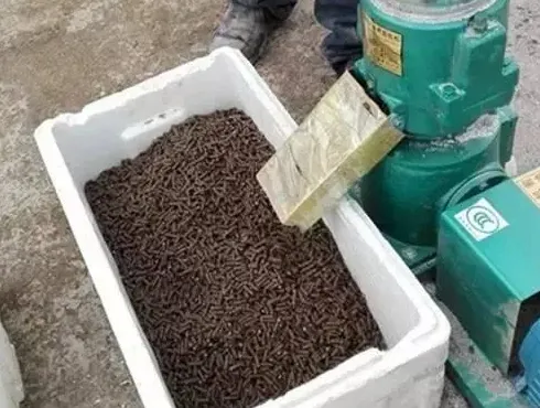 秋季参圈之大海参去哪儿了