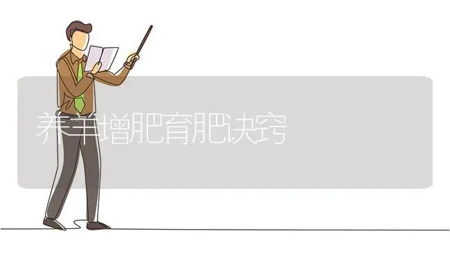 养羊增肥育肥诀窍 | 家畜养殖