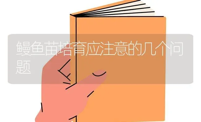 鳗鱼苗培育应注意的几个问题 | 淡水养殖