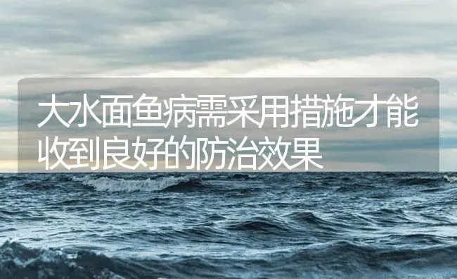 大水面鱼病需采用措施才能收到良好的防治效果 | 养殖病虫害防治