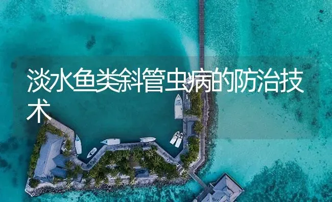 淡水鱼类斜管虫病的防治技术 | 养殖病虫害防治