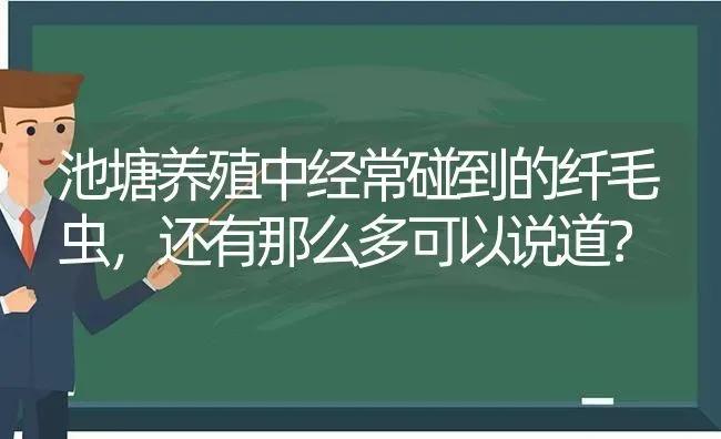 池塘养殖中经常碰到的纤毛虫，还有那么多可以说道？ | 动物养殖百科