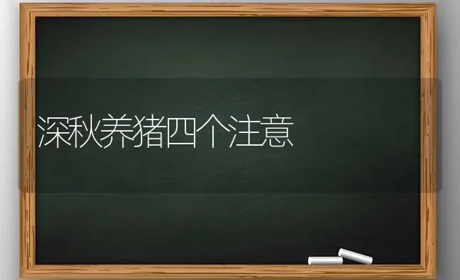 深秋养猪四个注意 | 家畜养殖