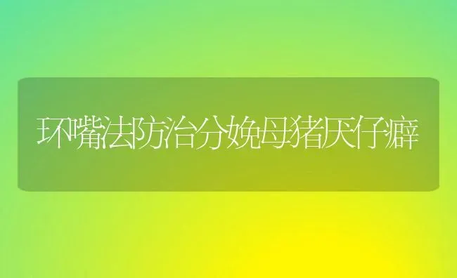 环嘴法防治分娩母猪厌仔癖 | 家畜养殖
