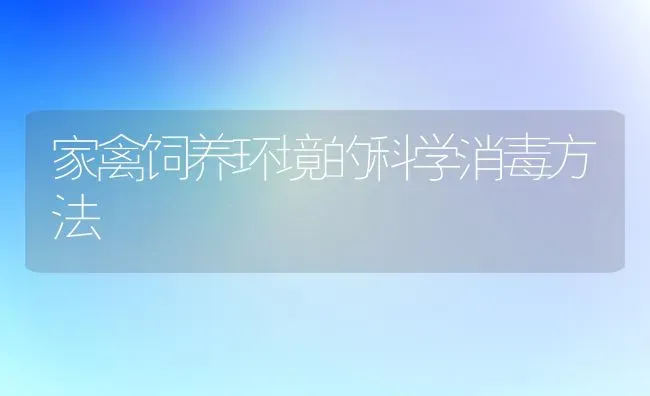家禽饲养环境的科学消毒方法 | 家禽养殖