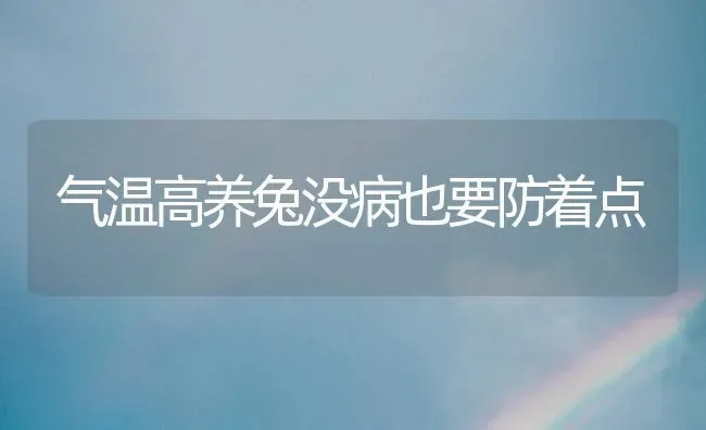 气温高养兔没病也要防着点 | 家畜养殖