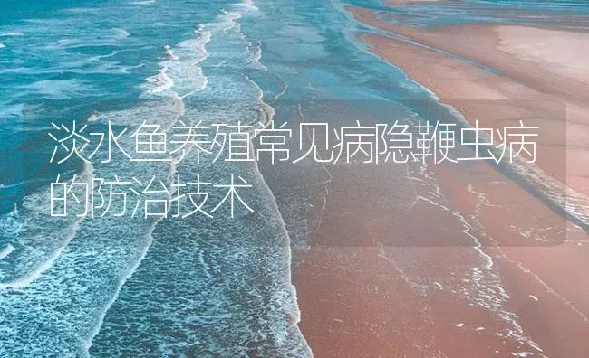 淡水鱼养殖常见病隐鞭虫病的防治技术 | 养殖病虫害防治