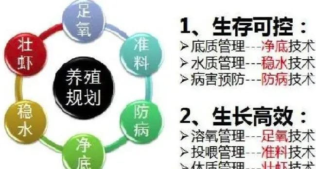 海南罗非鱼养殖不赚钱，看看这些养户转养南美白对虾后的成功之道